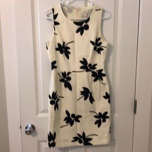 JCrew Factory dress w/ pockets.